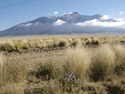 Mnt. Blanca