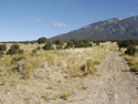 Southern SLVR