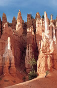 Bryce National Park